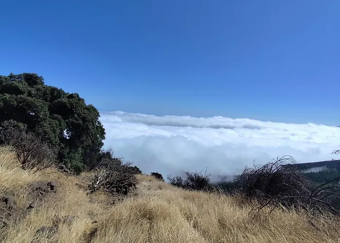 Διαμέρισμα Mng-apart D-14 Mareverde